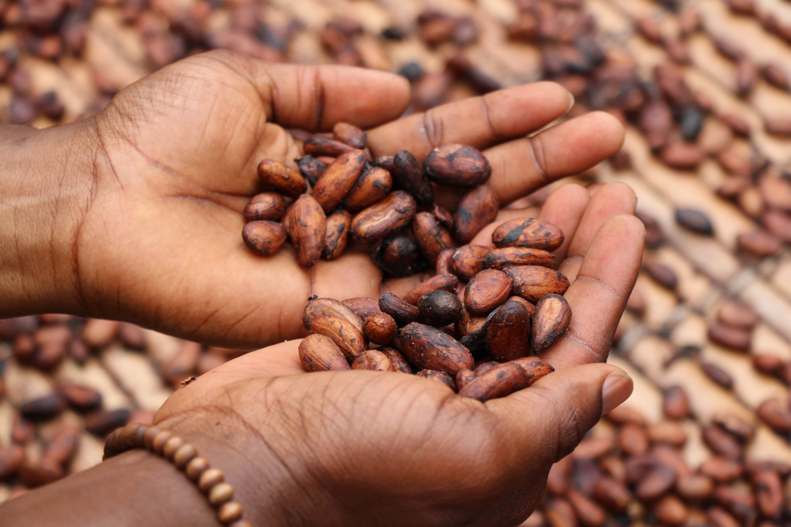 World Chocolate Day